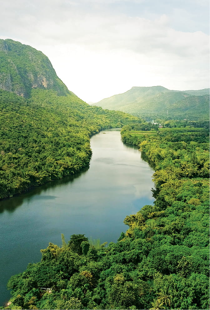 A picture of a river in a rainforest